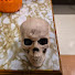 _PZ8kDhkEQI-channel-avatar-The Roots Of The Underground Bryan uzhca