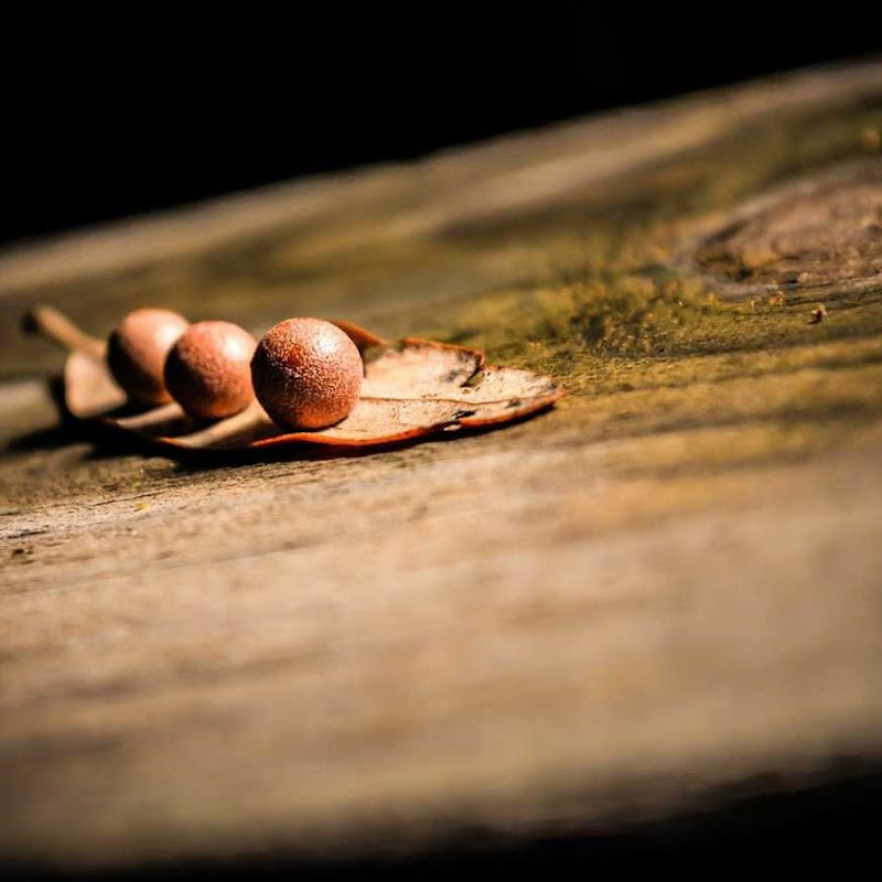 The Open World Channel