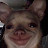 @shaggybiscuitz's avatar