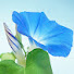_OHMrBvgDf8-channel-avatar-YOSHIMI