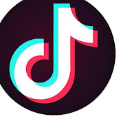 TikTok Funny Vids