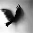 pXCJN4Jfzi8-channel-avatar-Raven