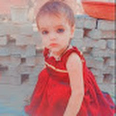 
???????????????? ????????????????????????