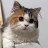 @마스터리반응