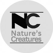 Natures Creatures