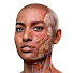 psaGiXycPIo-channel-avatar-Complete Anatomy