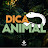 Programa Dica Animal