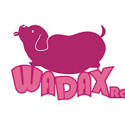 WADAX Channel
