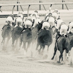 マトーのカイコ式競馬予想アイコン画像