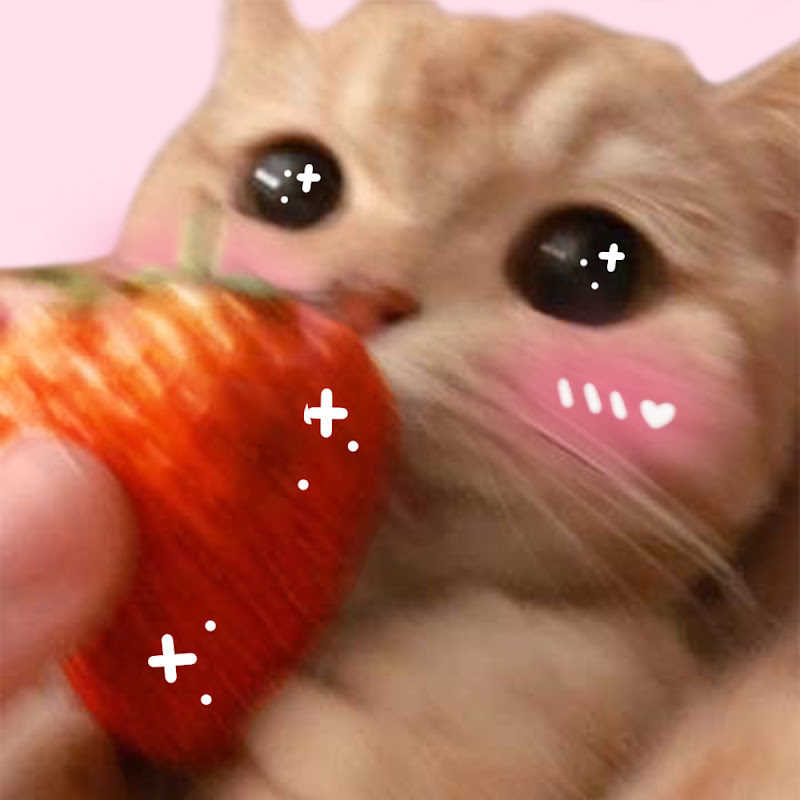 Strawbaeri icon