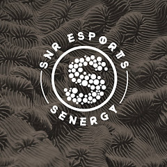SNR E-Sports