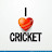 360°Cricketview