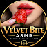 zhnfIIEAhKY-channel-avatar-Velvet Bite ASMR