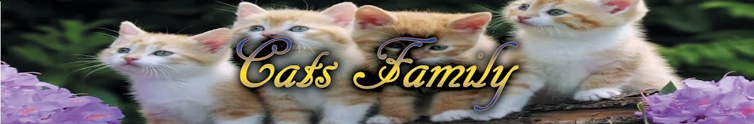 Cats Family Avatar canale YouTube 
