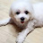 @술먹는냥이