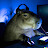 @CapybaraGaming-te8mo