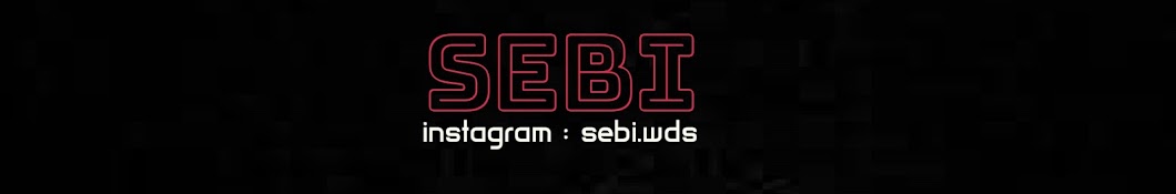 Sebi Wds YouTube channel avatar
