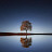 @d454b