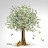 @AytenAgayeva-x3g