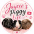 X5CWg1gZz8Q-channel-avatar-Jaycee’s Piggy Life