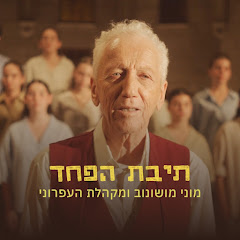 נדב ויקינסקי