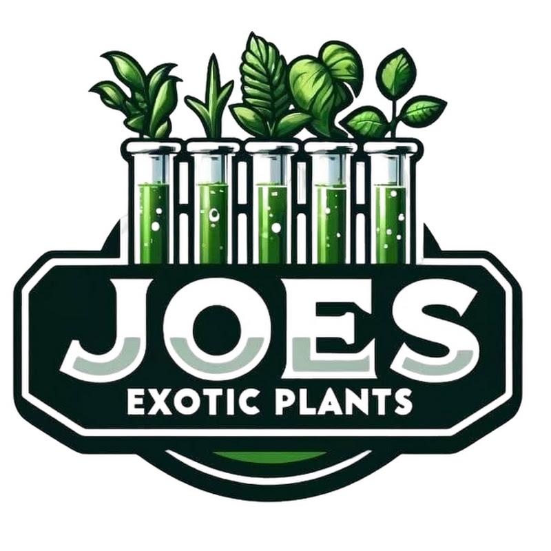 Joe's Exotic Plants