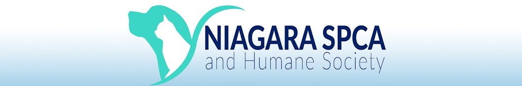 Niagara SPCA यूट्यूब चैनल अवतार
