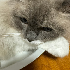 しゅ