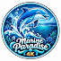 lSualbzYC6U-channel-avatar-Marine Paradise 4K