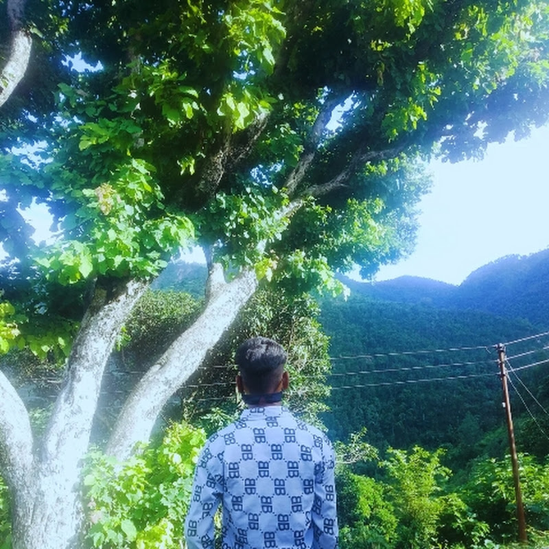 Hire ANSHU VLOGR  — Cultural Experiences & Expat Life YouTube creator for sponsorships