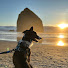 lndEvigEjow-channel-avatar-OceanFox