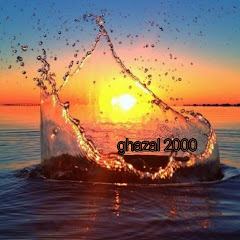 Ghazal 2000  Avatar