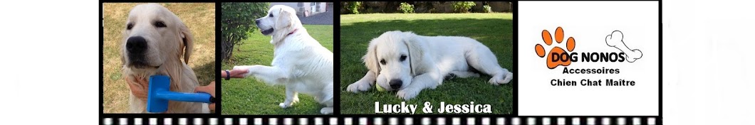Lucky & Jessica YouTube channel avatar