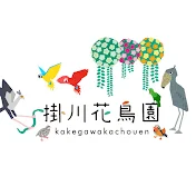 掛川花鳥園公式チャンネル