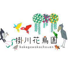 掛川花鳥園公式チャンネル