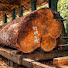 JYXW9LJhN-c-channel-avatar-Vega Ranu