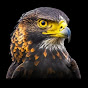 Red Hawk Hunters logo