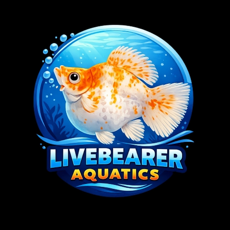 LiveBearer Aquatics