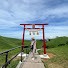 cP-RwdJpOwc-channel-avatar-Tiny Tokyo