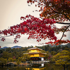 ザ!世界スカッとニュース #1