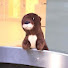 cGJuKVPewbg-channel-avatar-손아용 SONAYONG