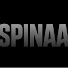IkVXPDsFaEs-channel-avatar-DJ SPINAA