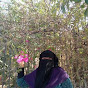 يوميات ام حسين اسيوط Image Thumbnail
