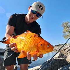 FishLikeMike net worth