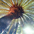 gWzhGieZhrE-channel-avatar-My Tropical Garden UK..