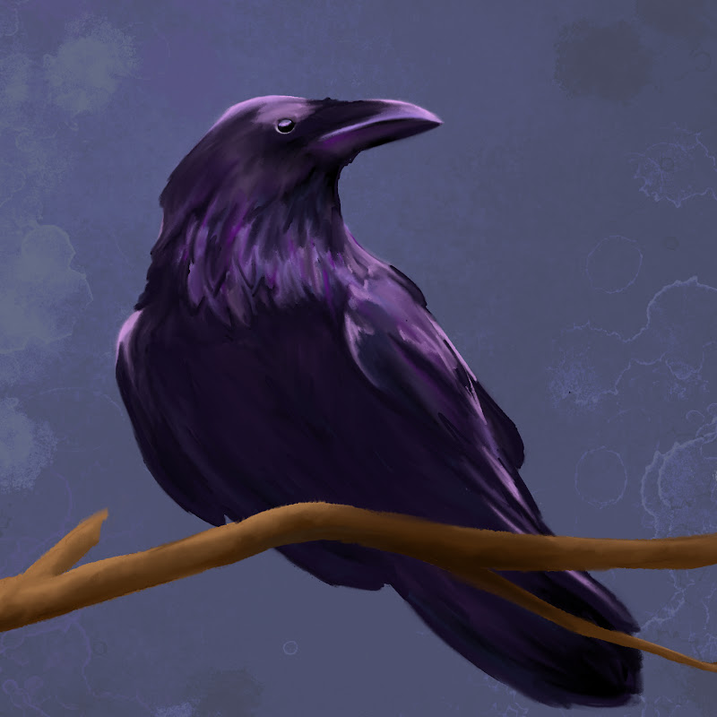 RavenPlaysGames