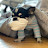 @Todeuk_mom