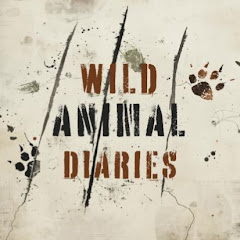 Animal Diaries