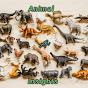Animal Insights logo