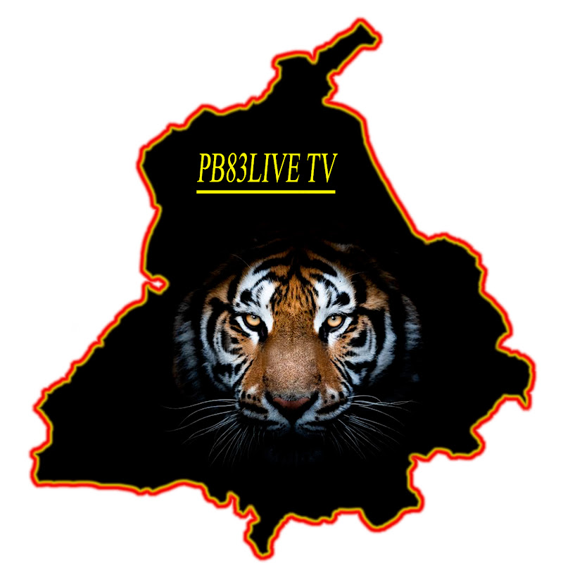PB83LIVE TV